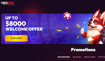 Best Crypto Casinos for 2025: Top 5 Crypto & Bitcoin Gambling Sites Tested & Reviewed!