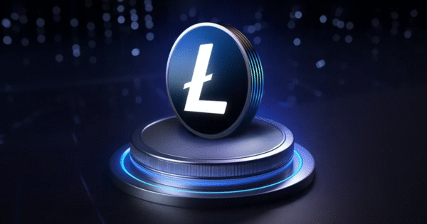 Bulls Fight to Hold Critical LTC Base