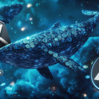 XRP Whale Transactions Plunge 57 % as Market Enters Compression Phase