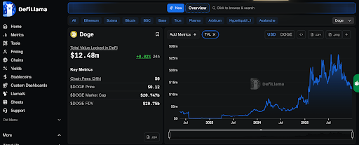 Dogecoin Metrics 