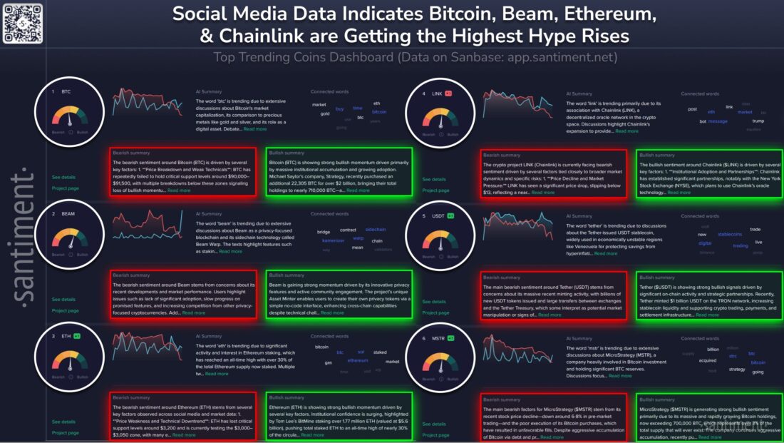 Bitcoin should be treated as “digital gold” or as a high-risk asset tied to market cycles