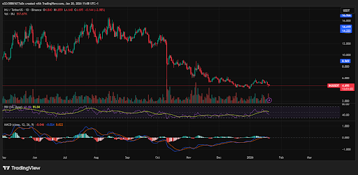 INJ continues to show strength despite the recent declines
