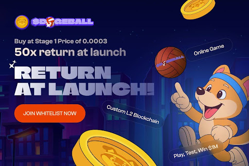 Shiba Inu Was Cheap Once DOGEBALL Meme Coin Whitelist Is in That Phase Right Now