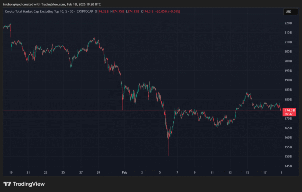 total market cap excluding top ten assets