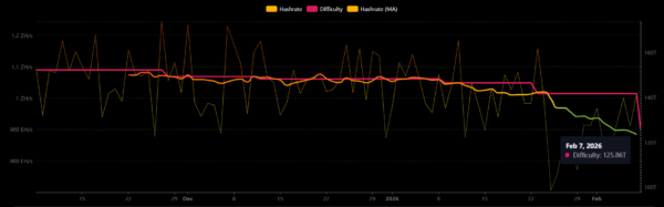 Hashrate & Difficulty