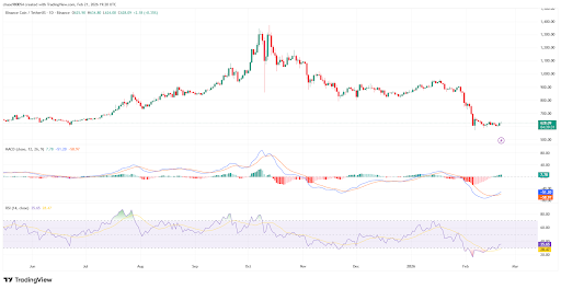 BNB Hits Historic Undervaluation Zone