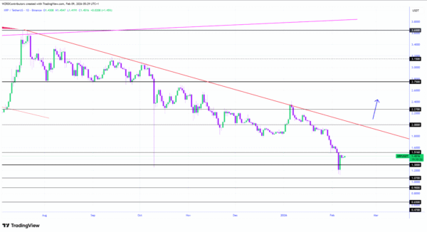 XRP Chart
