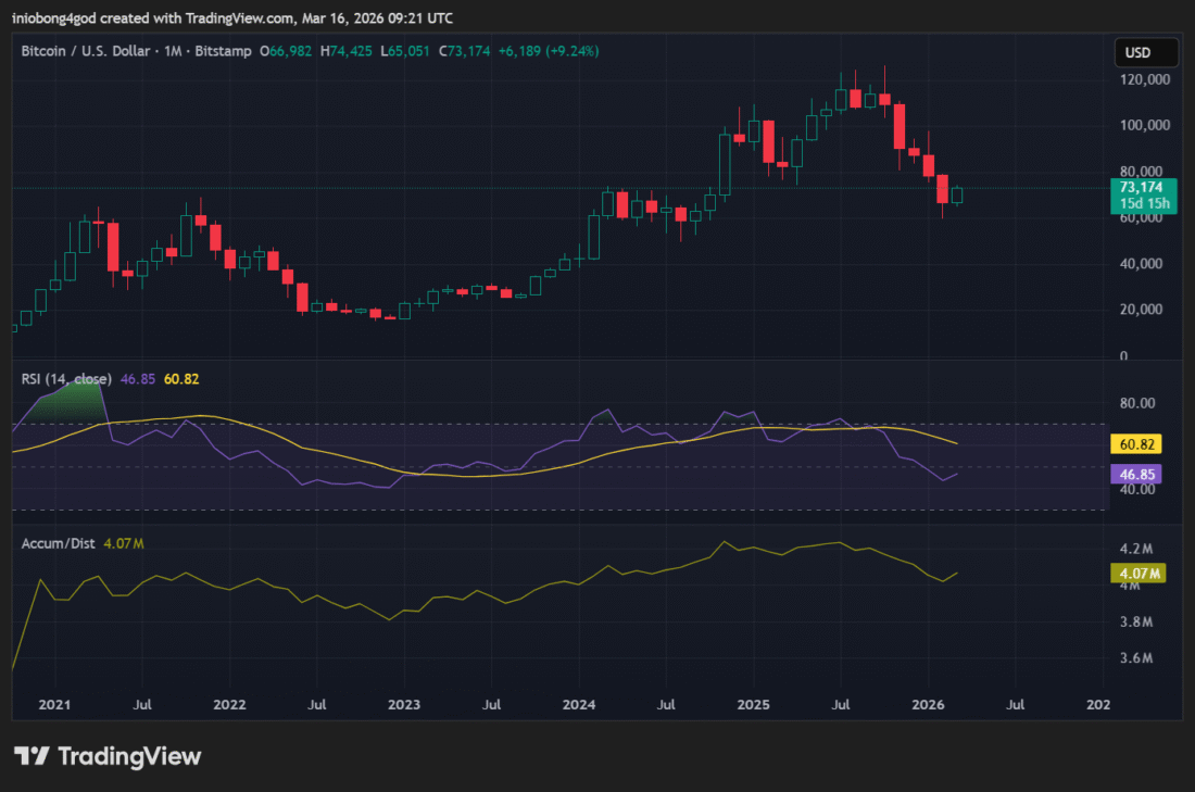 Bitcoin Price Chart