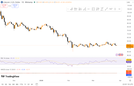 Litecoin consolidates near $54 as accumulation grows.