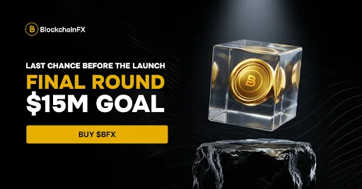 Tired of $DOGE Memes? BFX Has Real Utility and Is the Next 100x Crypto to Buy
