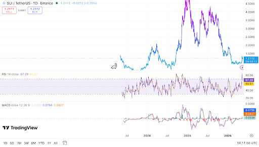 SUI daily chart shows price recovery, RSI, and MACD