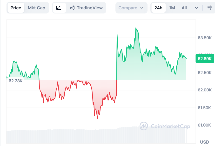 Bitcoin price starts to stabilize amid recent drop