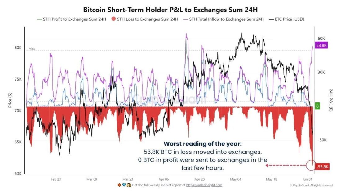 Crypto Crash Alert: Short-Term Holders Just Hit Their Worst Capitulation Reading of 2026