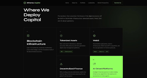 BitVertex Capital: Trusted Venture Firm in Web3 and Blockchain