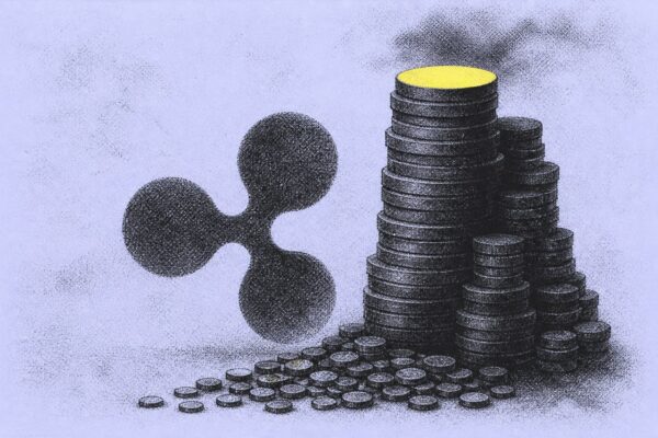 The XRP Rich List Reveals a Huge Gap Between Whales and Retail