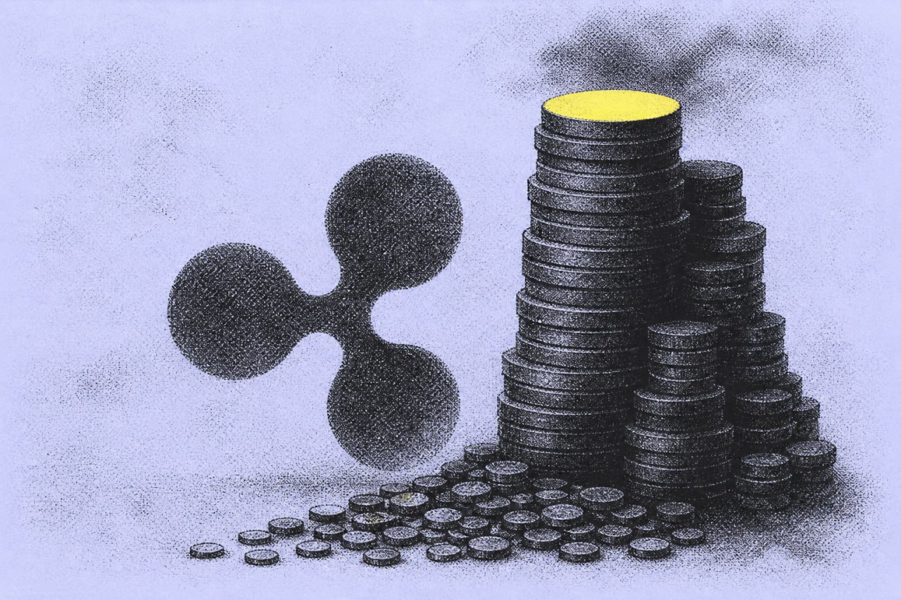 The XRP Rich List Reveals a Huge Gap Between Whales and Retail