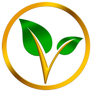 Vitae.co