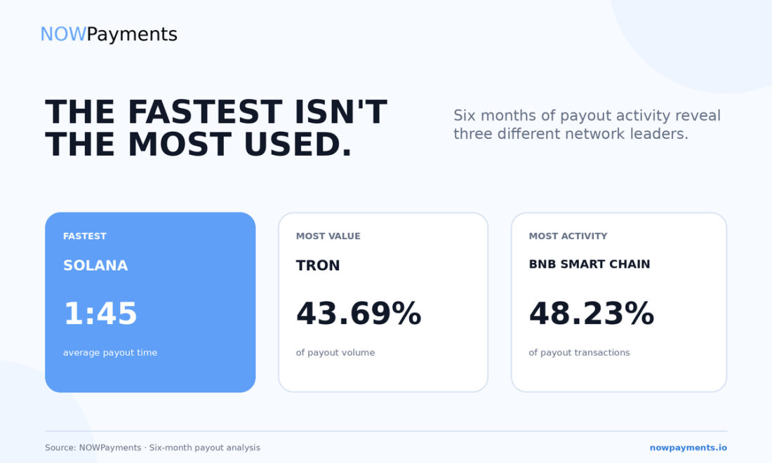 NOWPayments Releases Cross-Chain Payout Data Revealing Key Performance Benchmarks Across TRON, BNB