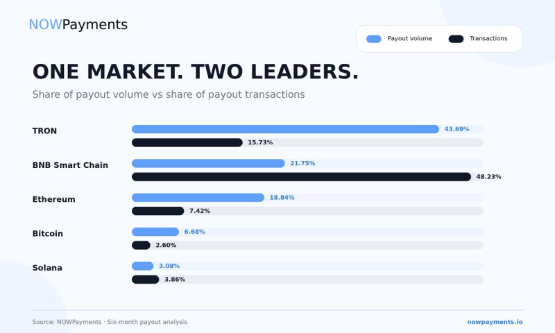 NOWPayments Releases Cross-Chain Payout Data Revealing Key Performance Benchmarks Across TRON, BNB