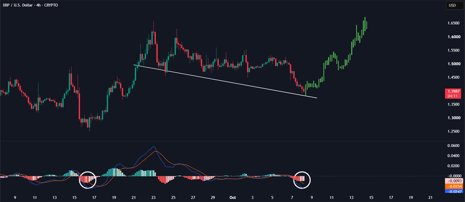 XRP Tests Trendline Support Amid Oversold MACD